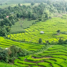 Ubud