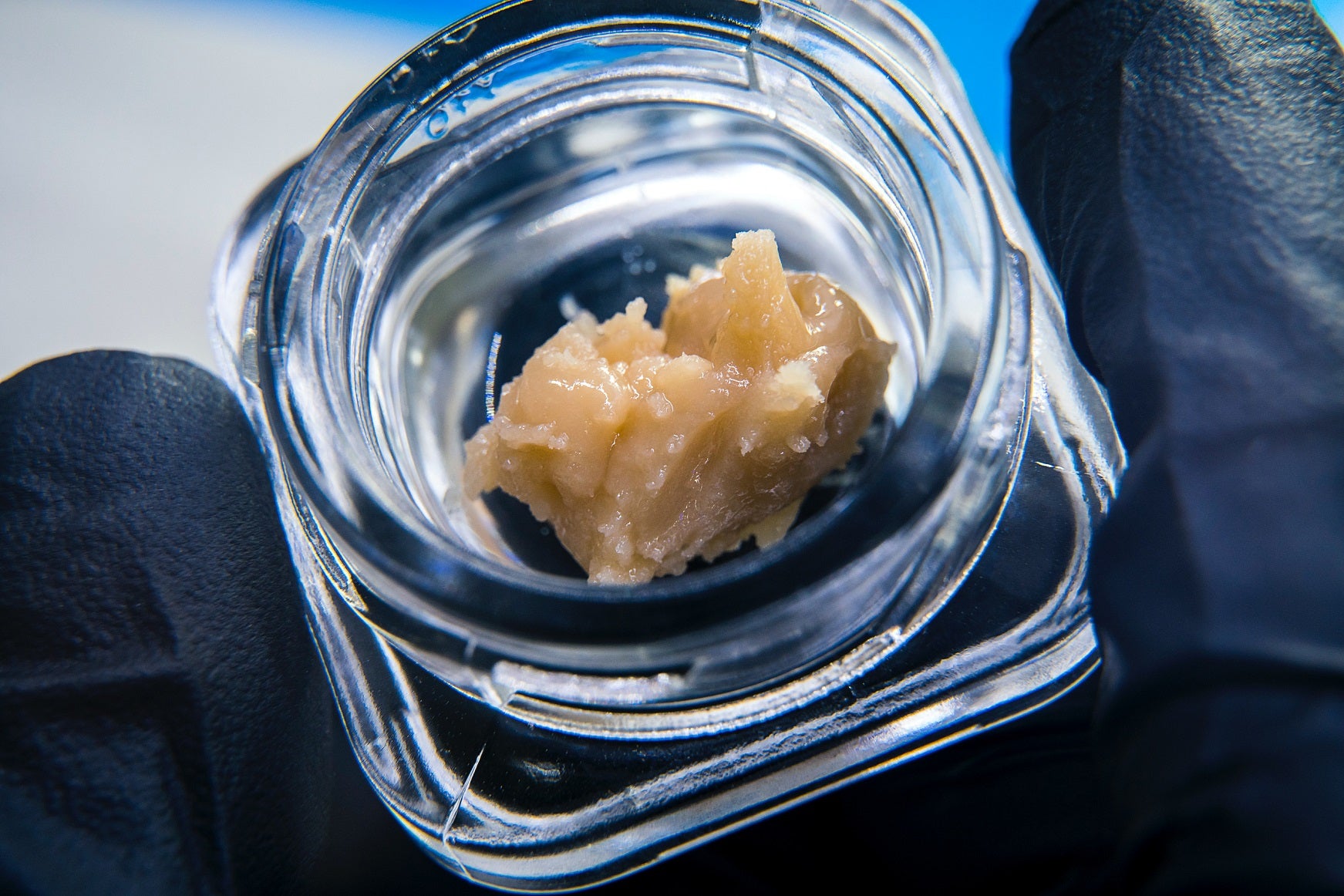 Rosin extract