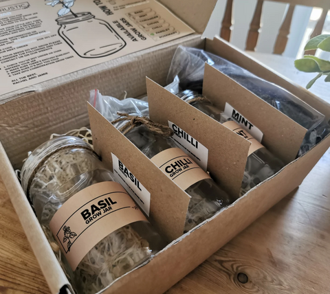 Grow your own herbs kit