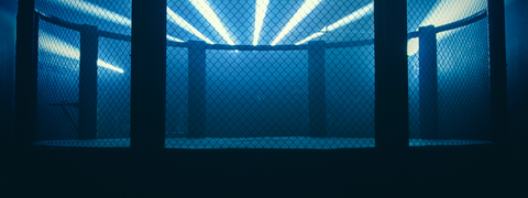 EHC Sport MMA Cage