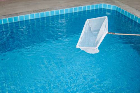 Clean Pool with Skimming