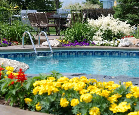 Get Pollen Out of Pool