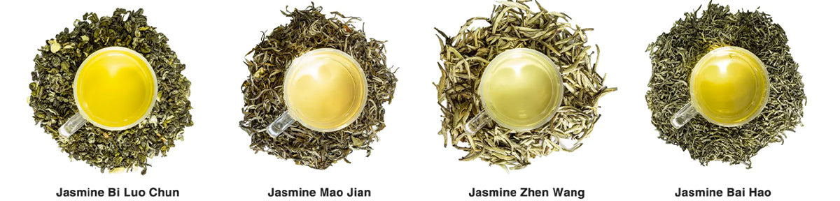 jasmine tea type