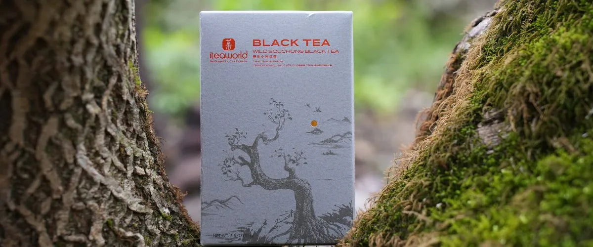 Wild Souchong Black Tea from iTeaworld