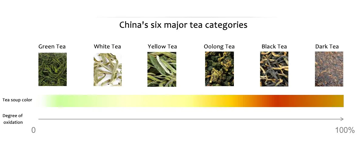 6 type of tea