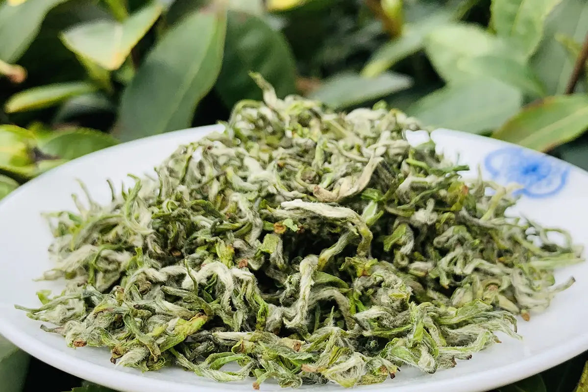 Bi-luo-chun-green-tea-loose-leaf-tea