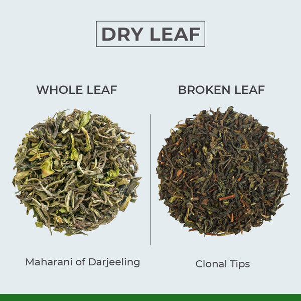 Full or Whole Leaf vs. Broken Leaf and Leaf Pieces
