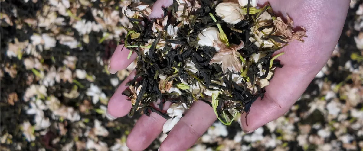 Jasmine Met Tea