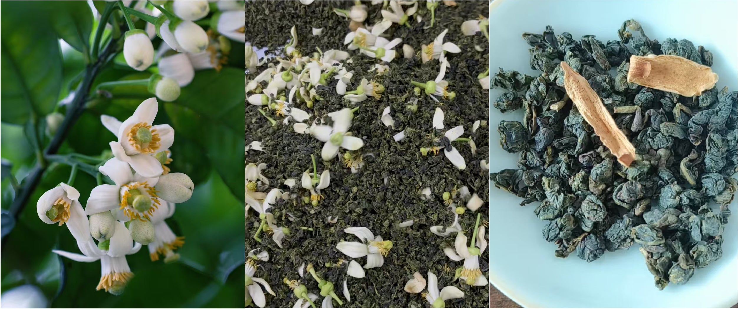 Pomelo Blossom Oolong