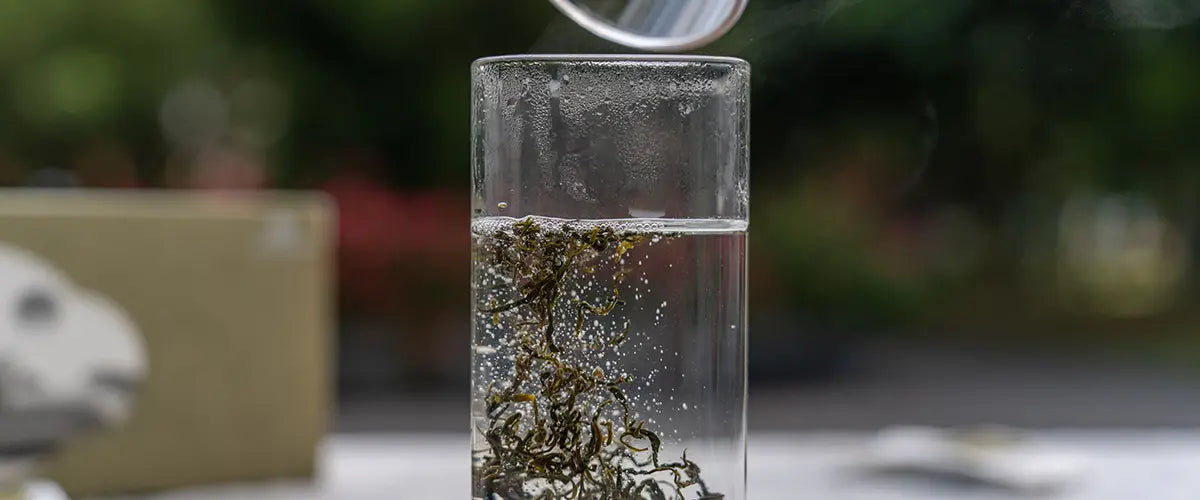 brew green tea