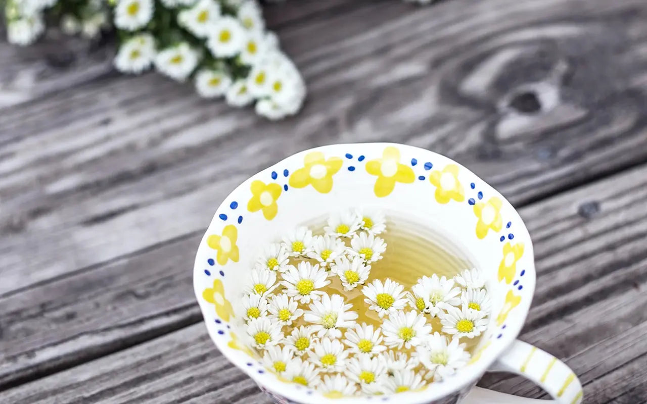 chrysanthemum-tea-benefits-stress-relief