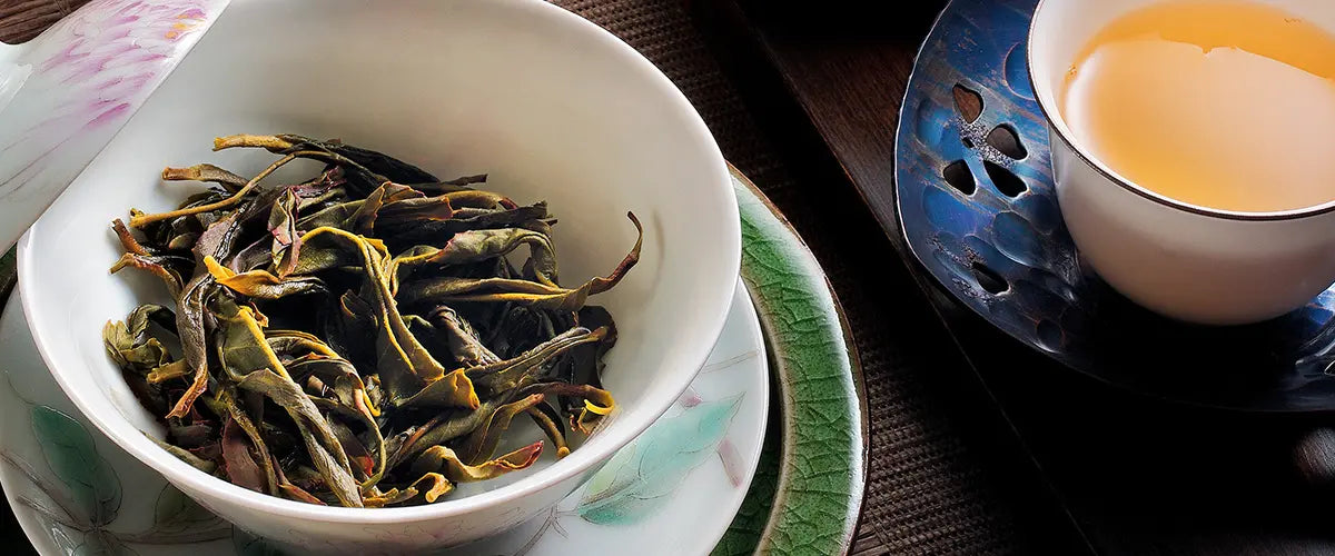 wulong oolong tea