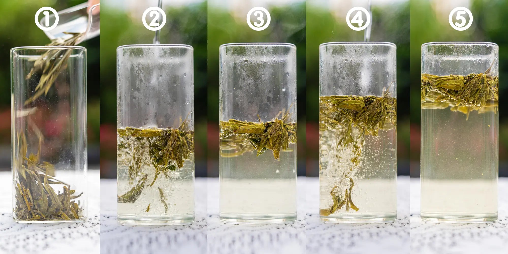 longjin-green-tea-brewing-method