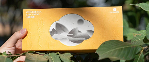 loose leaf tea sampler