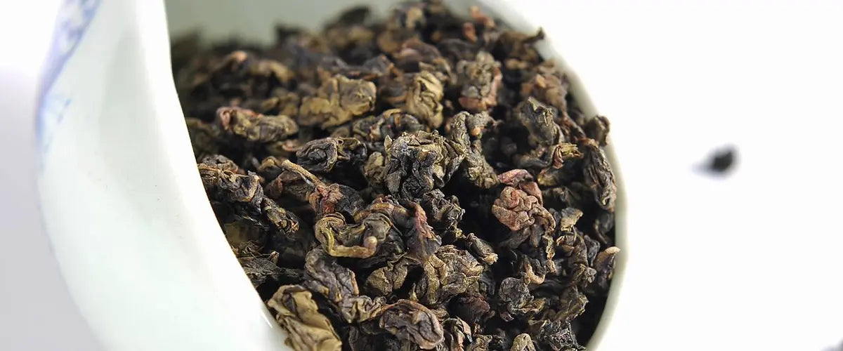 loose leaf oolong tea