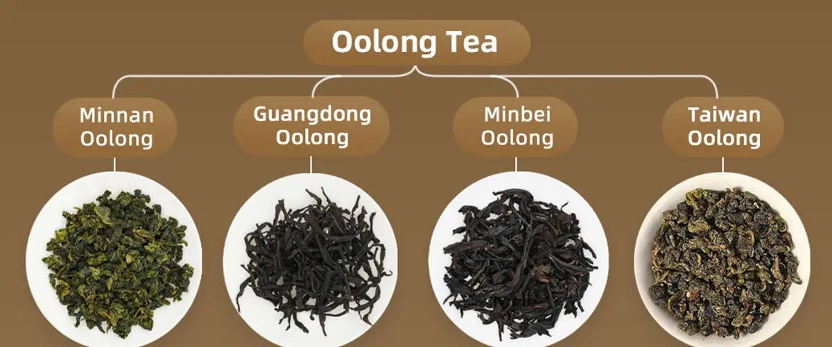 type of oolong tea