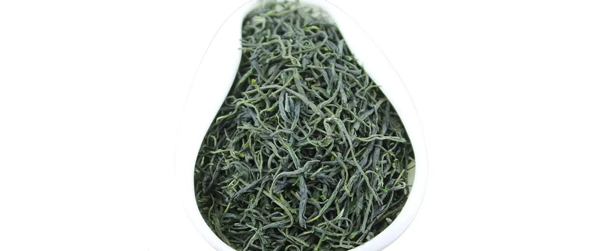 xinyang maojian