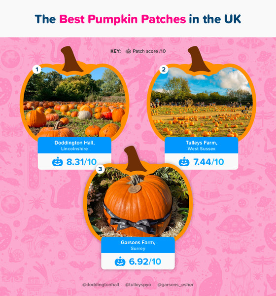 The best pumpkin patches in the UK - Doddington Hall, Tulleys Farm, and Garsons Farm