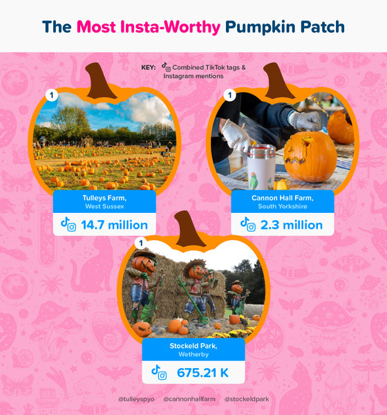 Most insta-worthy pumpkin patches