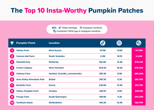 Top 10 most insta-worthy pumpkin patches