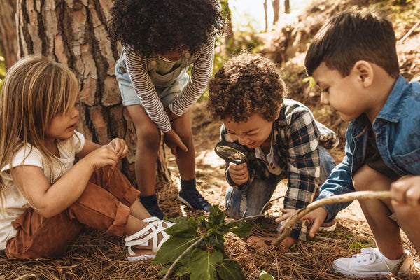 A group of four children, two boys and two girls playing in a forest. They are using a magnifying glass to take a closer look at leaves and bugs.