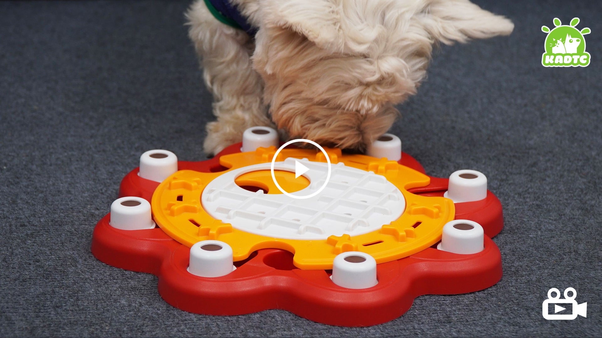Ayesha Dog Puzzle Toys,Dogs Food Puzzle Feeder Toys for IQ Training &  Mental Enrichment,Dog Treat Puzzle for Fun Slow Feeder