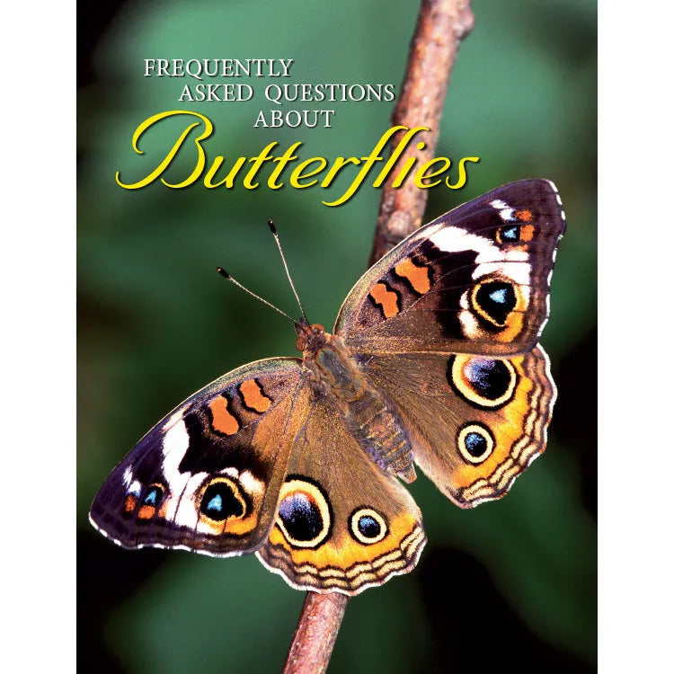 View Frequently Asked Questions About Butterflies