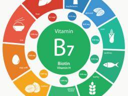 Biotin is a b-vitamin that aids in hair regrowth