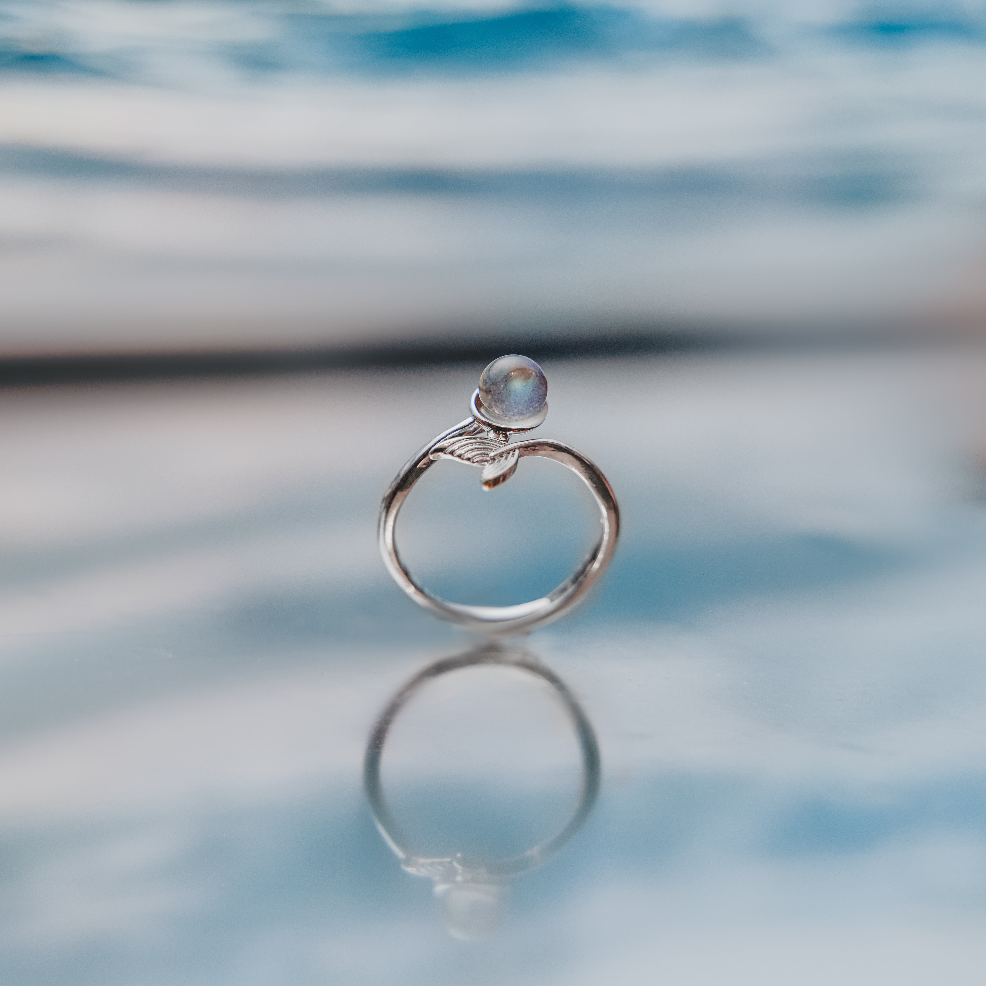 海豚環遊世界水晶戒指 Dolphin Crystal Ring