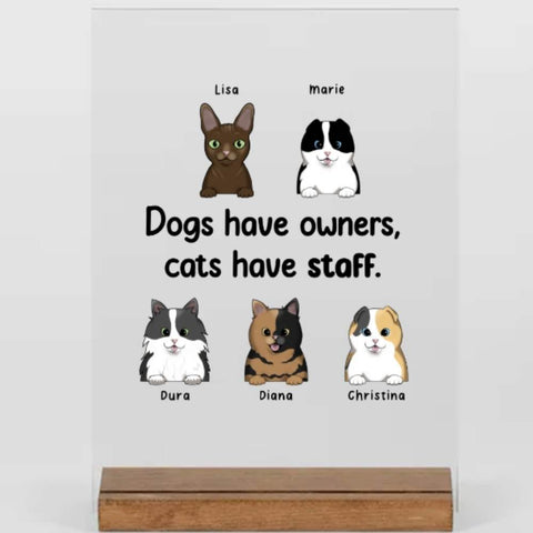 Witzige katzen Geschenk - Dogs have owners - cats have staff - acyrl adventure - katzenliebhaber beschenken