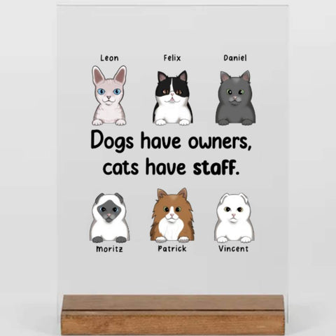 Witzige katzen Geschenk - Dogs have owners - cats have staff - acyrl adventure - personalisierte geschenk