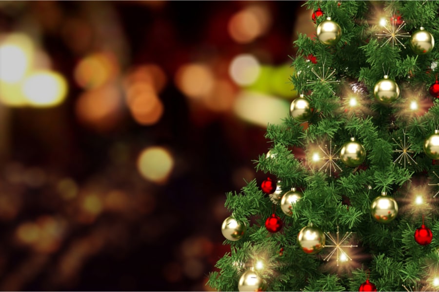 Understanding Christmas Trees : The Meaning Behind the Trees — The Living Urn