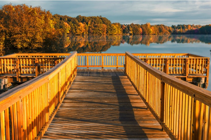 where-can-you-scatter-ashes-in-connecticut-the-living-urn