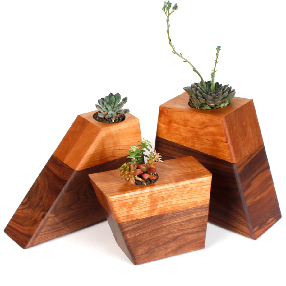 Modern meets natural in this assortment of planters