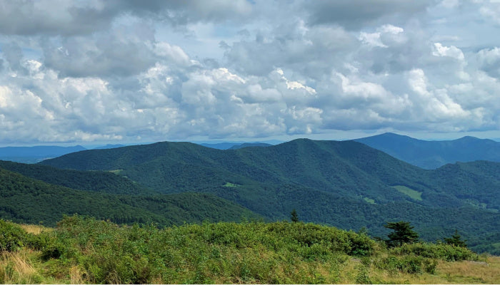 north carolina ashes scattering