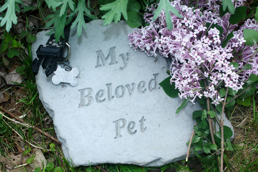 pet burial cost