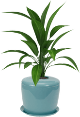 plant cremation urn