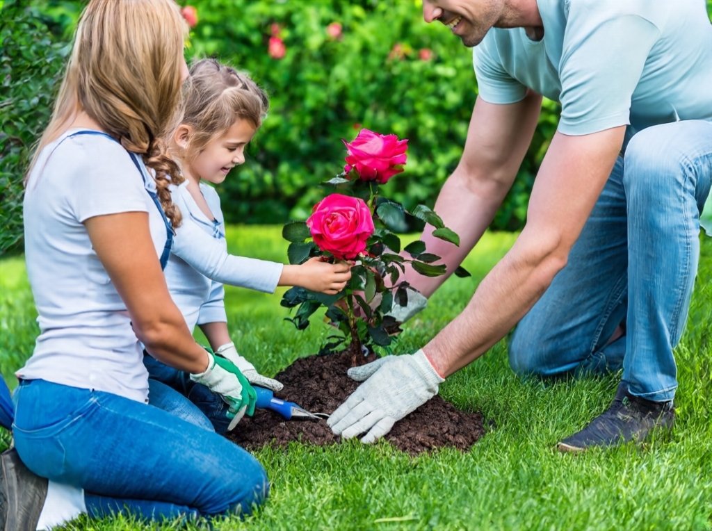 Tree planting ceremonies