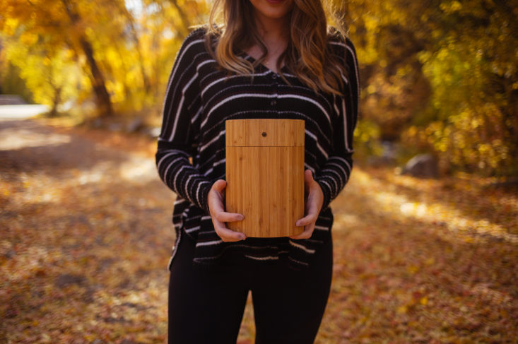 biodegradable burial urn