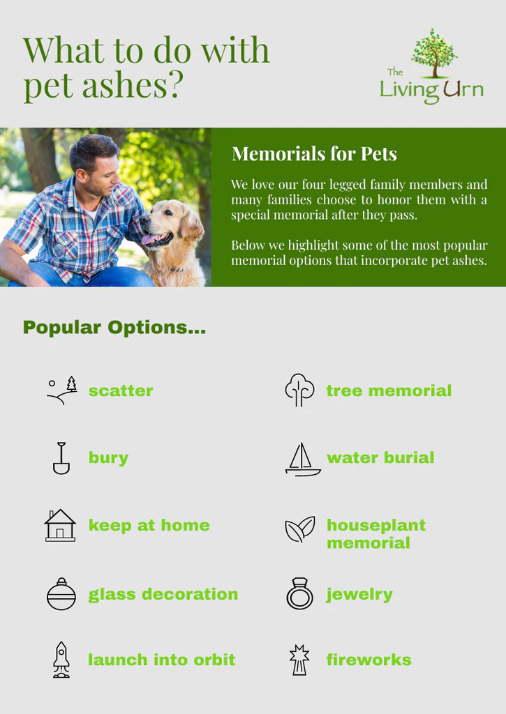 pet cremation ashes options