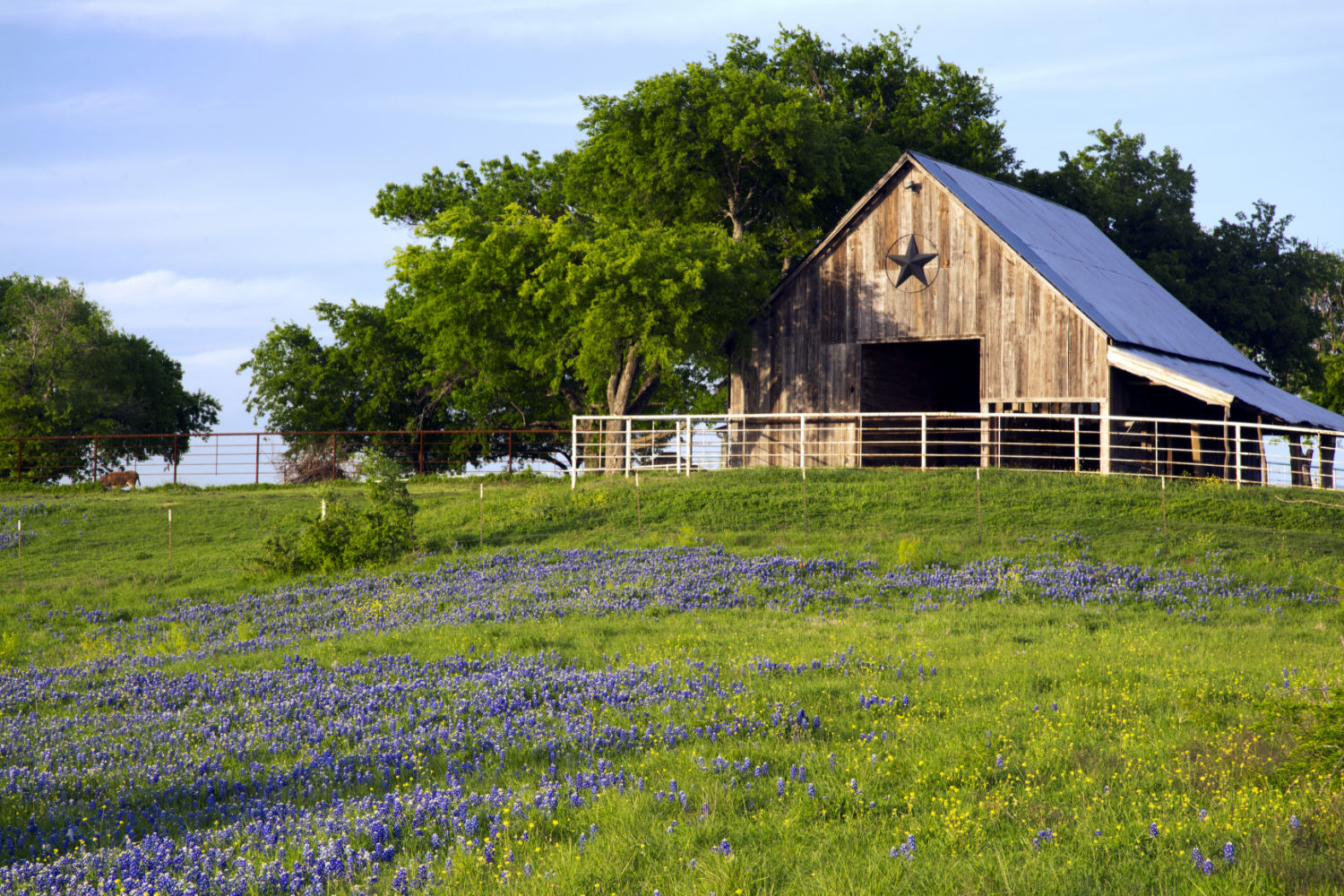 scattering ashes in Texas