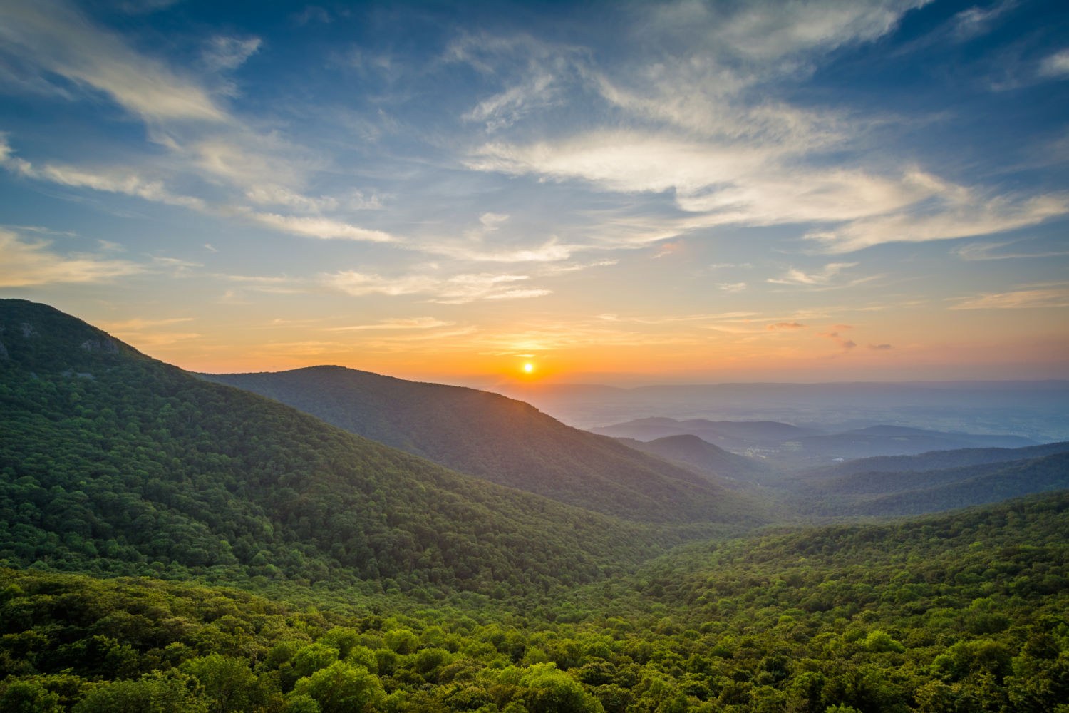 scattering ashes in Virginia