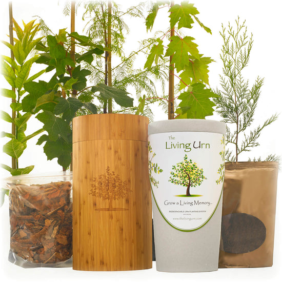 Love Spring? Here are 10 good reasons why you should — The Living Urn