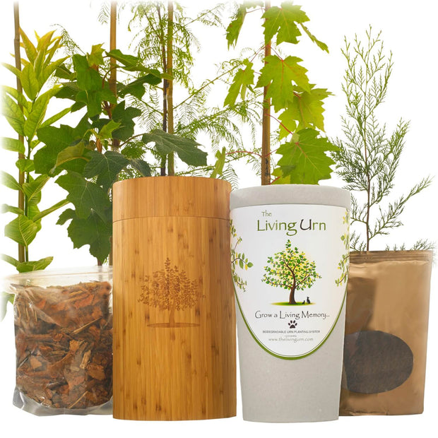 biodegradable urn for pets