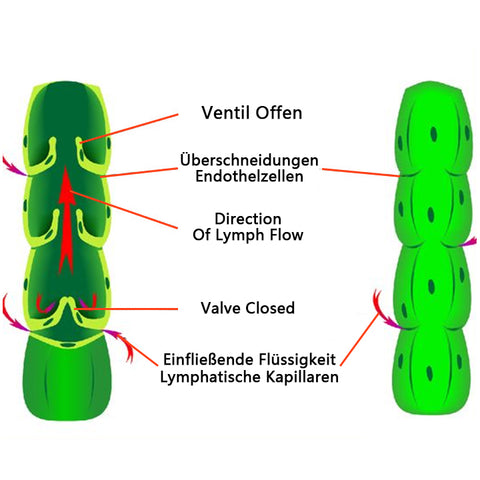 Système de drainage lymphatique Ultraschall Biancat™