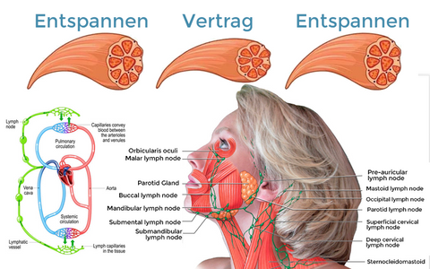 Biancat™ AcuLymph EMS Nackenmassagegerät