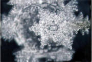 Solfeggio Frequencies represented in Water Crystals