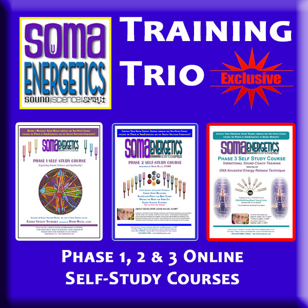 The Practitioner TRIO Collection: Courses, Tools and Combo Kits