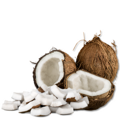 Coconut