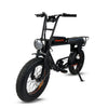 Cruz 73 Retro E-Bike